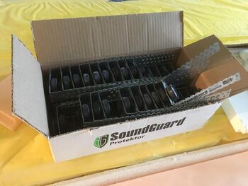 SoundGuard Protector